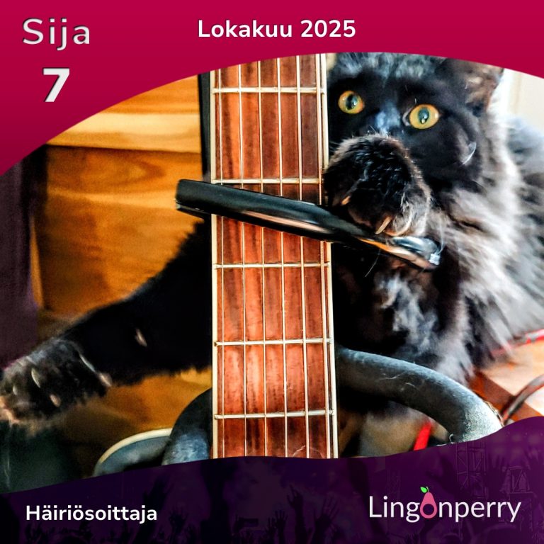 October 2025 number 7 Häiriösoittaja